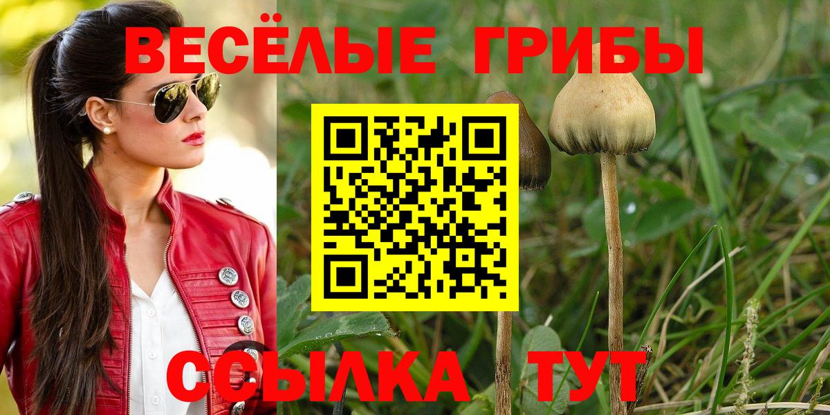 Канабис  A-PVP СОЛЬ кристаллы  МЕФ   Шадринск  Вход с VPN  ГАШ 