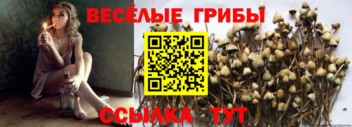 Псилоцибиновые грибы прущие грибы  Вход с VPN  Шадринск 