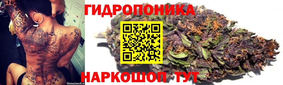 Шишки марихуана план Шадринск